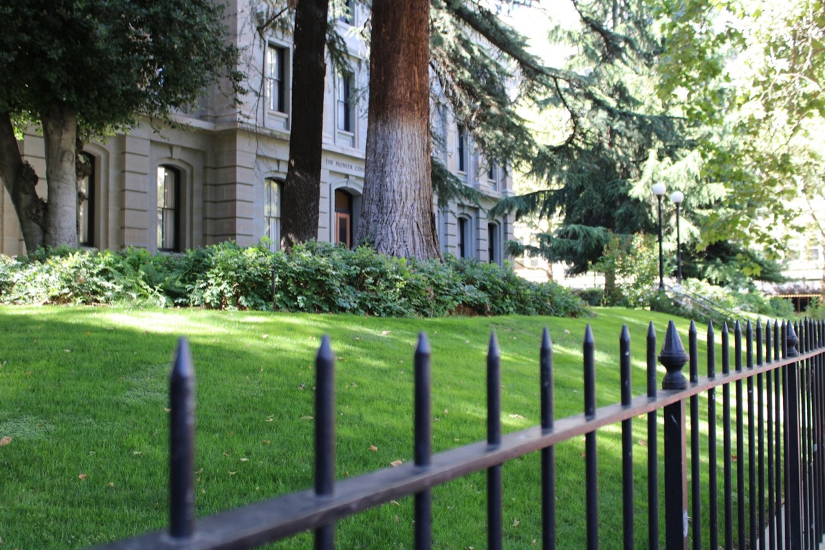 A black fence borders a green lawn with a building