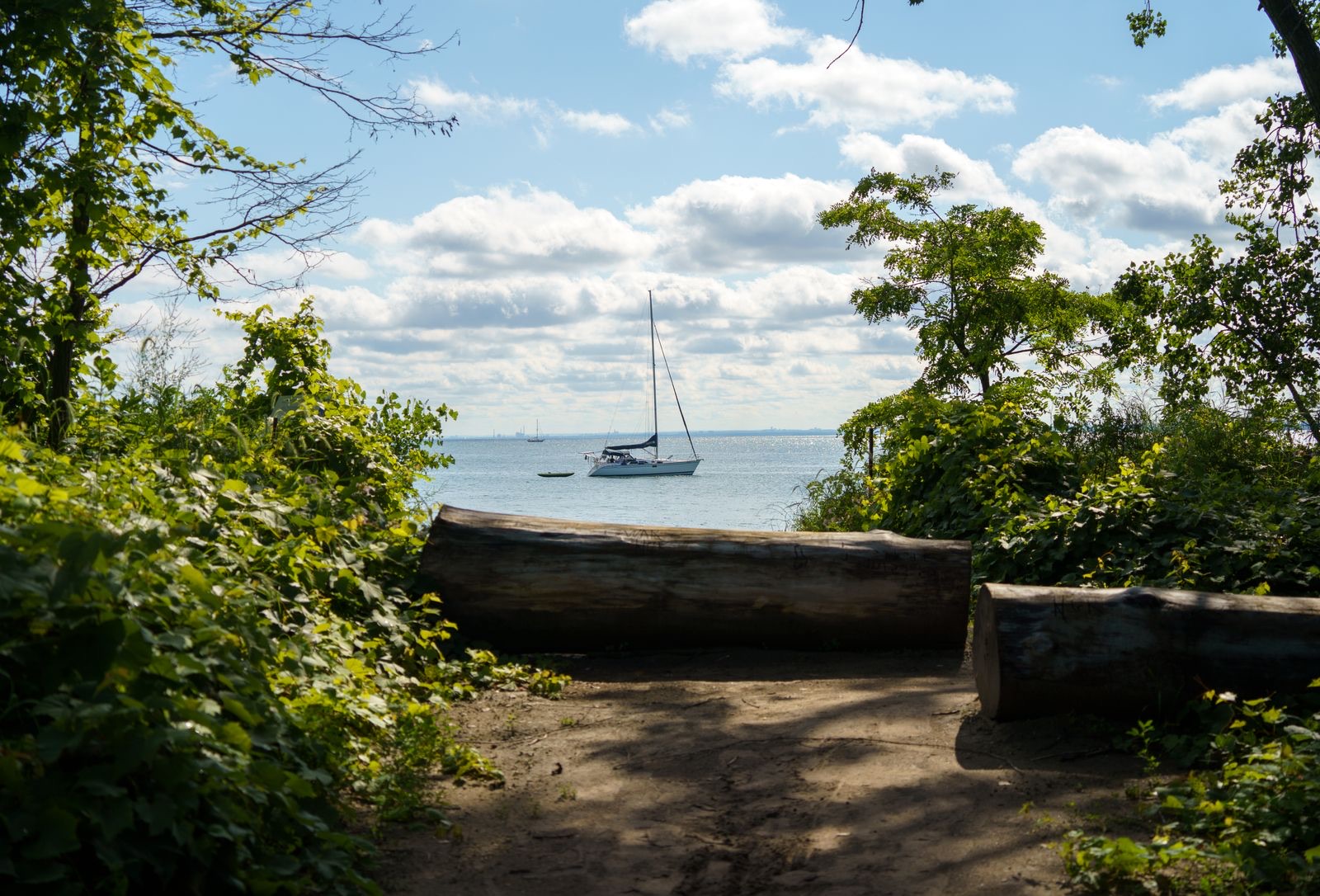 A sailboat on Lake Ontario off Toronto