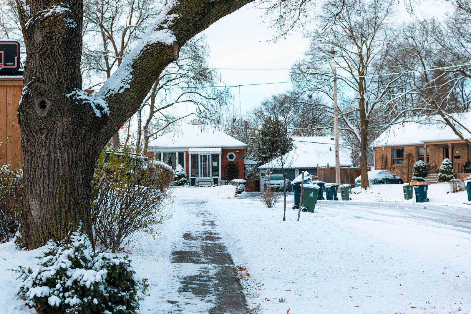 A snowy neighbourhood street in Toronto