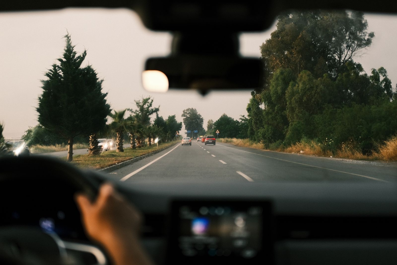 Driving down a tree-lined road at dusk