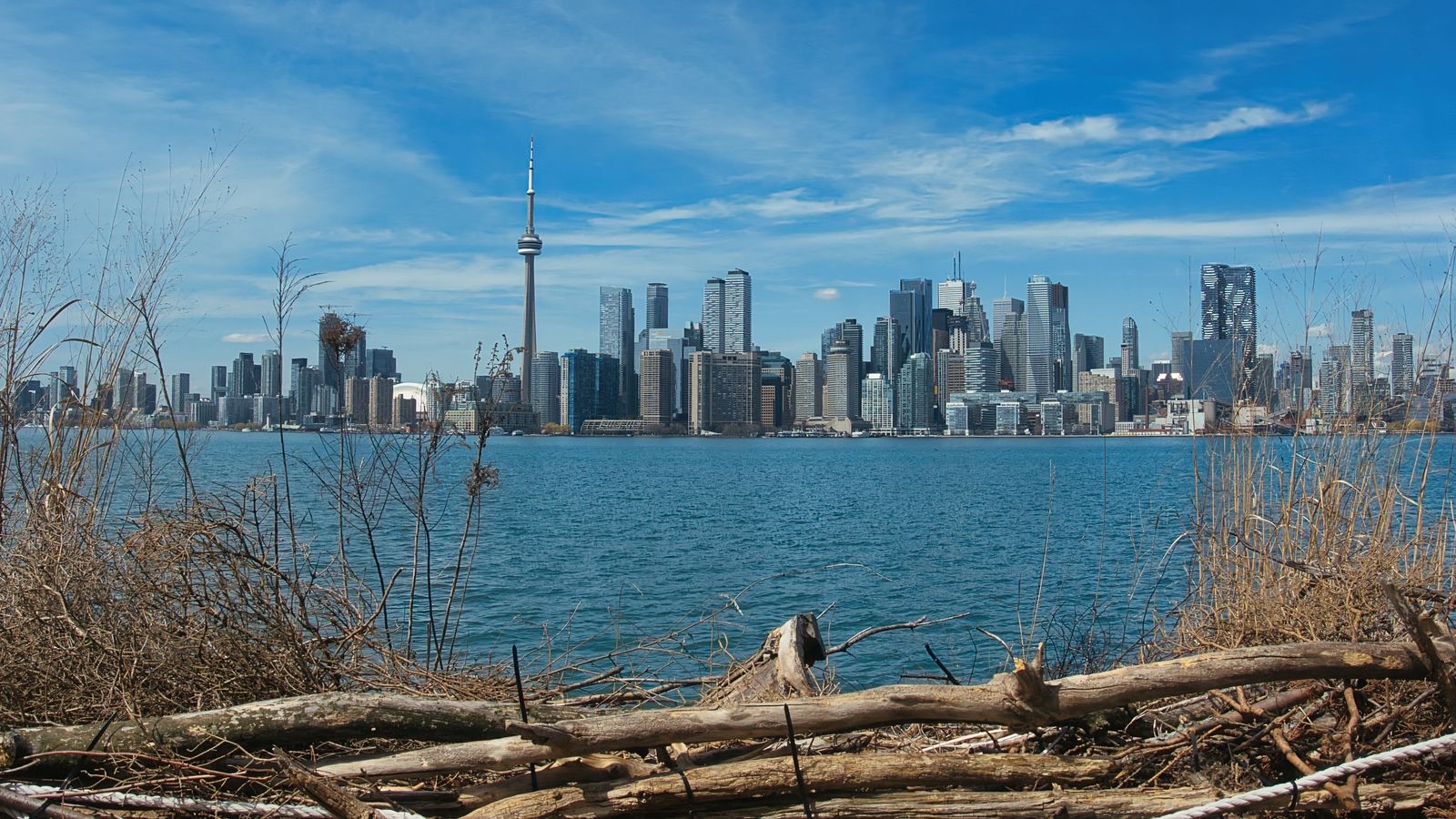 The Review Online reviews and the risks of public allegations | NEO Legal Services ...